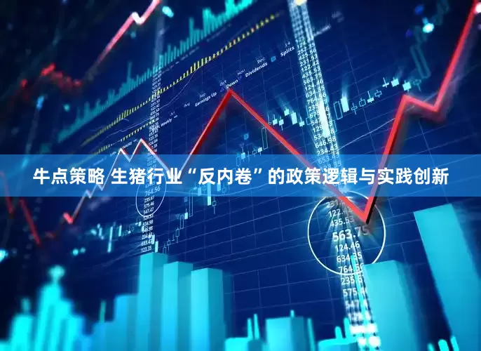 牛点策略 生猪行业“反内卷”的政策逻辑与实践创新