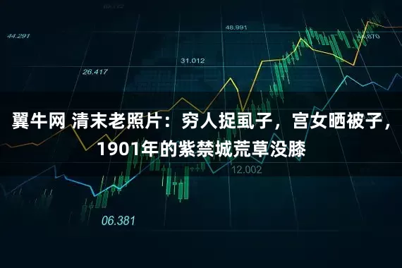 翼牛网 清末老照片：穷人捉虱子，宫女晒被子，1901年的紫禁城荒草没膝