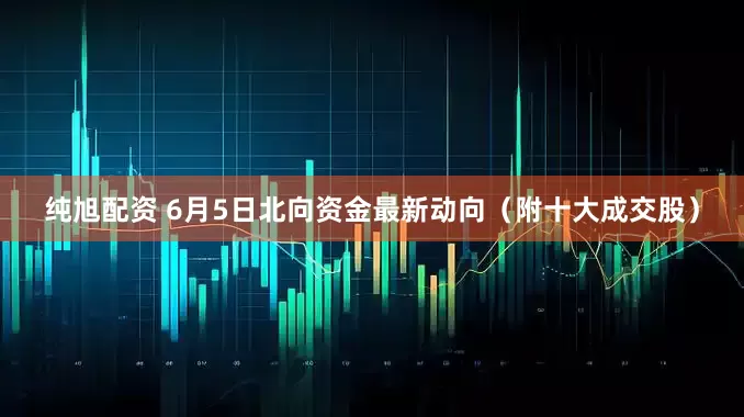 纯旭配资 6月5日北向资金最新动向（附十大成交股）