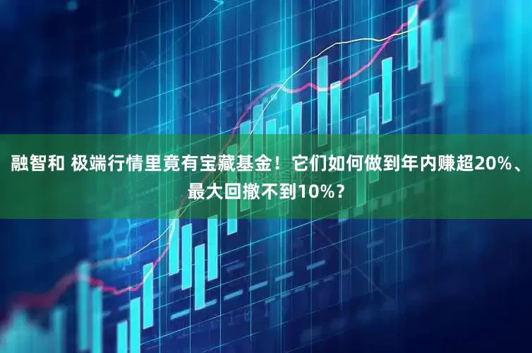 融智和 极端行情里竟有宝藏基金！它们如何做到年内赚超20%、最大回撤不到10%？